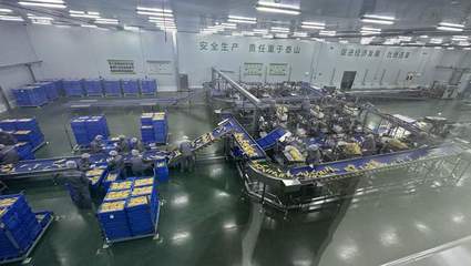 高质量发展调研行 北纬47°与“耕地大熊猫”的电商交响曲